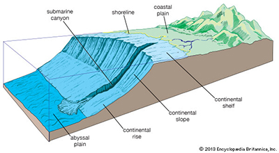 Submarine Canyon Submarine Canyon